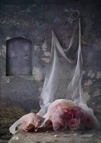 Photograph Lucia Loiso Roses on One Eyeland